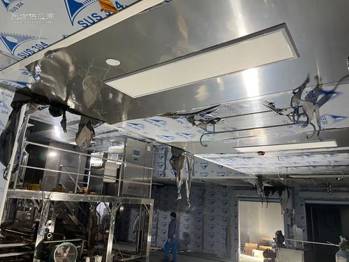 食品加工行業(yè)萬級無塵無菌凈化與安防工程一體化設(shè)計與施工